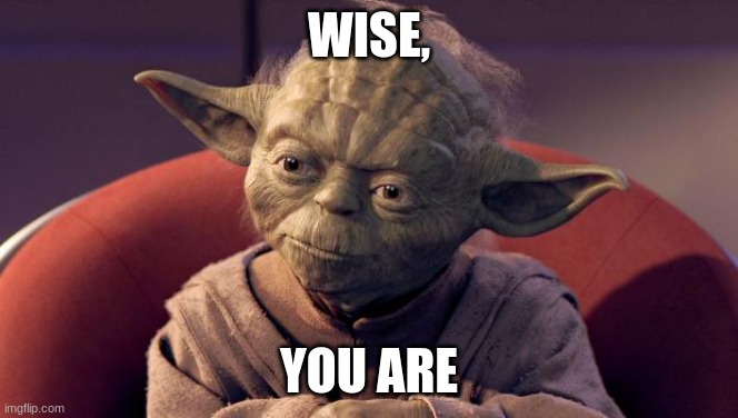 Yoda Wisdom | WISE, YOU ARE | image tagged in yoda wisdom | made w/ Imgflip meme maker