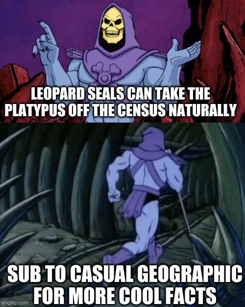 casual geographic is wise | LEOPARD SEALS CAN TAKE THE PLATYPUS OFF THE CENSUS NATURALLY; SUB TO CASUAL GEOGRAPHIC FOR MORE COOL FACTS | image tagged in skeletor until we meet again | made w/ Imgflip meme maker
