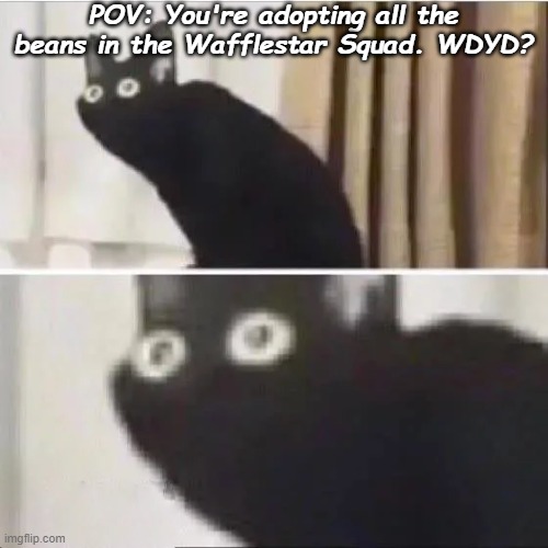 very unrelated picture, but thats ok | POV: You're adopting all the beans in the Wafflestar Squad. WDYD? | image tagged in scared cat | made w/ Imgflip meme maker