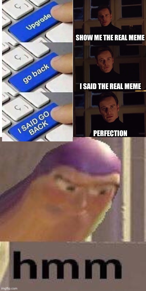 Hmm | SHOW ME THE REAL MEME; I SAID THE REAL MEME; PERFECTION | image tagged in perfection,buzz lightyear hmm | made w/ Imgflip meme maker