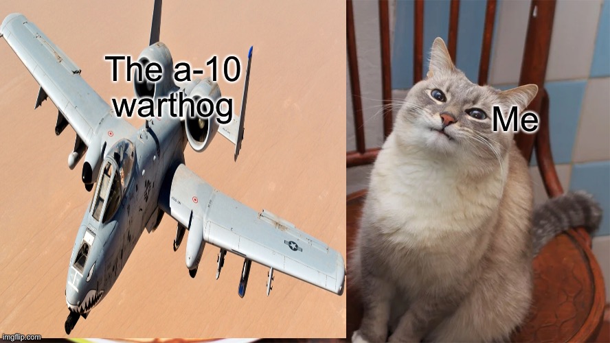 The a-10 warthog; Me | image tagged in haha brrrrrrr | made w/ Imgflip meme maker