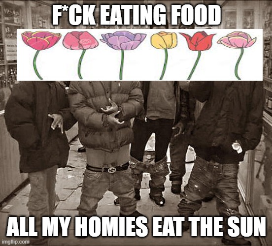 photosynthesis | F*CK EATING FOOD; ALL MY HOMIES EAT THE SUN | image tagged in all my homies hate,memes | made w/ Imgflip meme maker