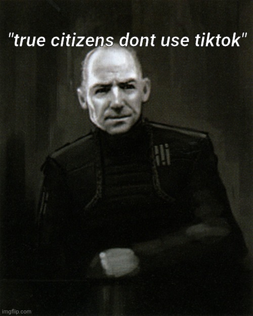 The consiel | "true citizens dont use tiktok" | image tagged in the consiel | made w/ Imgflip meme maker