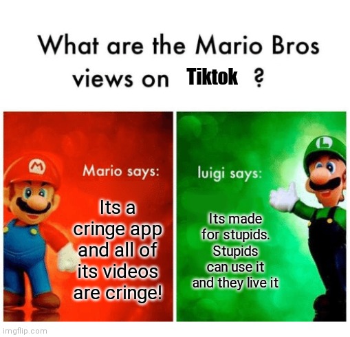 I hope tiktokers dont attack me | Tiktok; Its a cringe app and all of its videos are cringe! Its made for stupids. Stupids can use it and they love it | image tagged in mario bros views | made w/ Imgflip meme maker