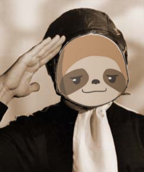 Sloth salute Blank Meme Template