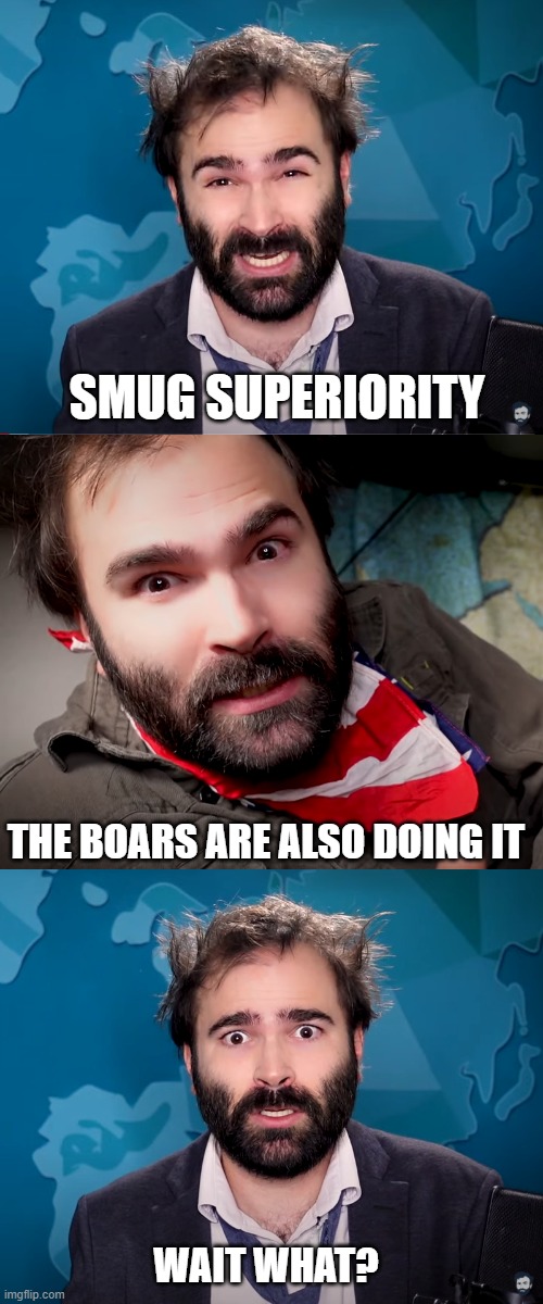 the boars are doing it too | SMUG SUPERIORITY; THE BOARS ARE ALSO DOING IT
	

	
	
	
	

	
		
	
WAIT WHAT? | image tagged in memes | made w/ Imgflip meme maker