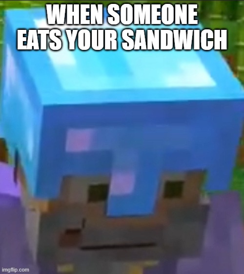 my sandwich | WHEN SOMEONE EATS YOUR SANDWICH | image tagged in goodtimeswithscar gru meme | made w/ Imgflip meme maker