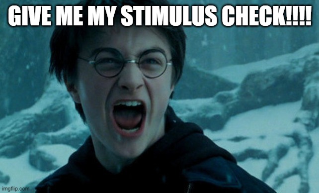 Harry Potter Angry | GIVE ME MY STIMULUS CHECK!!!! | image tagged in harry potter angry | made w/ Imgflip meme maker