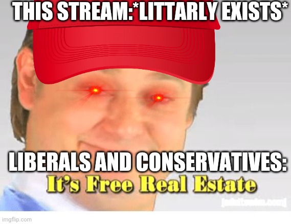 I am socialist(NOT communist) let me live. | THIS STREAM:*LITTARLY EXISTS*; LIBERALS AND CONSERVATIVES: | image tagged in it's free real estate,idk,what,tags,to,put | made w/ Imgflip meme maker