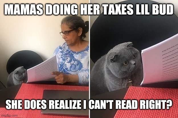 Woman showing paper to cat |  MAMAS DOING HER TAXES LIL BUD; SHE DOES REALIZE I CAN'T READ RIGHT? | image tagged in woman showing paper to cat | made w/ Imgflip meme maker