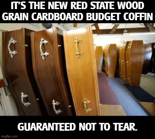 The virus may wipe out your family, but there's no reason it should wipe out your finances. | IT'S THE NEW RED STATE WOOD GRAIN CARDBOARD BUDGET COFFIN; GUARANTEED NOT TO TEAR. | image tagged in red,state,discount,budget,coffin | made w/ Imgflip meme maker