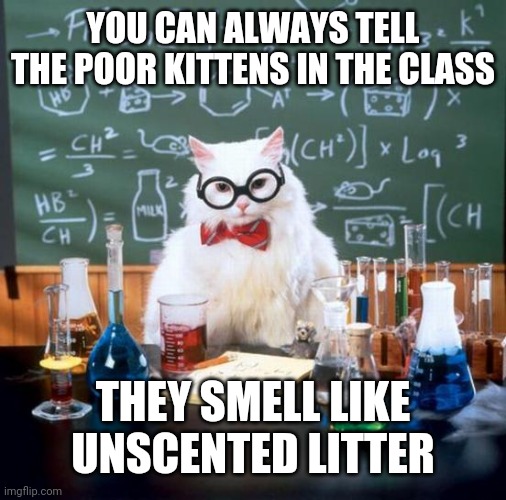 Chemistry Cat Meme |  YOU CAN ALWAYS TELL THE POOR KITTENS IN THE CLASS; THEY SMELL LIKE UNSCENTED LITTER | image tagged in memes,chemistry cat | made w/ Imgflip meme maker