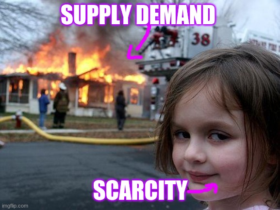 Disaster Girl | SUPPLY DEMAND; SCARCITY | image tagged in memes,disaster girl | made w/ Imgflip meme maker