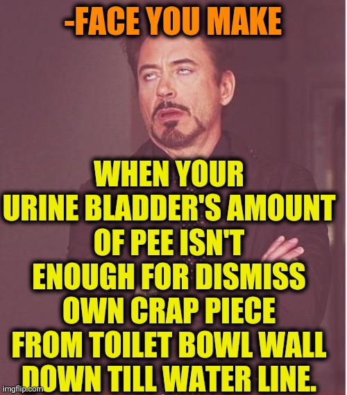 -Funny game. | -FACE YOU MAKE; WHEN YOUR URINE BLADDER'S AMOUNT OF PEE ISN'T ENOUGH FOR DISMISS OWN CRAP PIECE FROM TOILET BOWL WALL DOWN TILL WATER LINE. | image tagged in memes,face you make robert downey jr,urine,toilet humor,oh crap,falling down | made w/ Imgflip meme maker