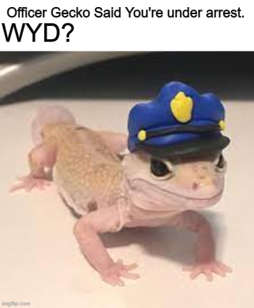 Officer Gecko | Officer Gecko Said You're under arrest. WYD? | image tagged in officer gecko,gecko,cute,stop reading the tags,never gonna give you up,never gonna let you down | made w/ Imgflip meme maker
