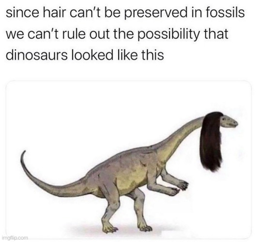 ◉‿◉ | image tagged in funny,memes,repost,dinosaurs,hair | made w/ Imgflip meme maker