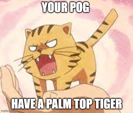 palm top tiger | YOUR POG; HAVE A PALM TOP TIGER | image tagged in cute | made w/ Imgflip meme maker