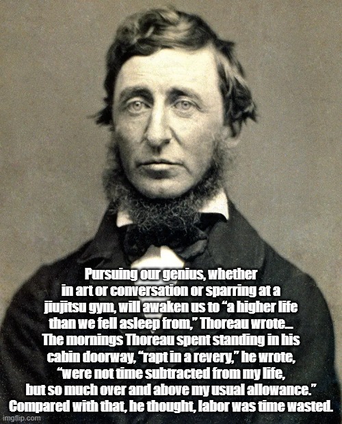 "Thoreau On Labor, Revery And Wasted Time" | Pursuing our genius, whether in art or conversation or sparring at a jiujitsu gym, will awaken us to “a higher life than we fell asleep from,” Thoreau wrote... The mornings Thoreau spent standing in his cabin doorway, “rapt in a revery,” he wrote, “were not time subtracted from my life, but so much over and above my usual allowance.” Compared with that, he thought, labor was time wasted. | image tagged in thoreau,revery,a higher life,labor | made w/ Imgflip meme maker
