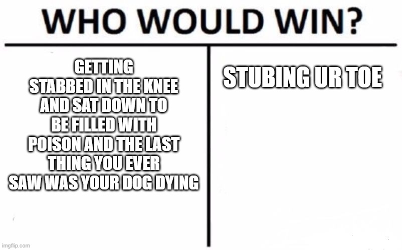 Who Would Win? | GETTING STABBED IN THE KNEE AND SAT DOWN TO BE FILLED WITH POISON AND THE LAST THING YOU EVER SAW WAS YOUR DOG DYING; STUBING UR TOE | image tagged in who would win,gaming,never gonna give you up,never gonna let you down,never gonna run around,and desert you | made w/ Imgflip meme maker