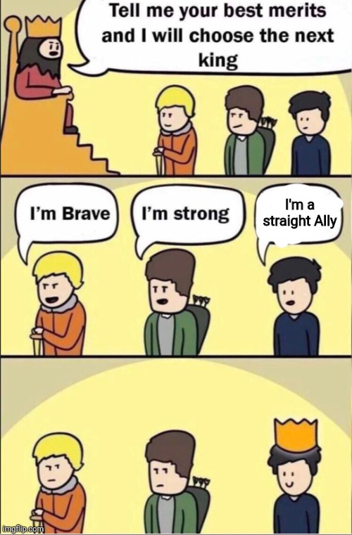 Day 1 of not having any titles... | I'm a straight Ally | image tagged in tell me your best merits | made w/ Imgflip meme maker
