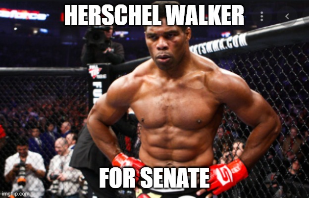 HERSCHEL WALKER; FOR SENATE | made w/ Imgflip meme maker
