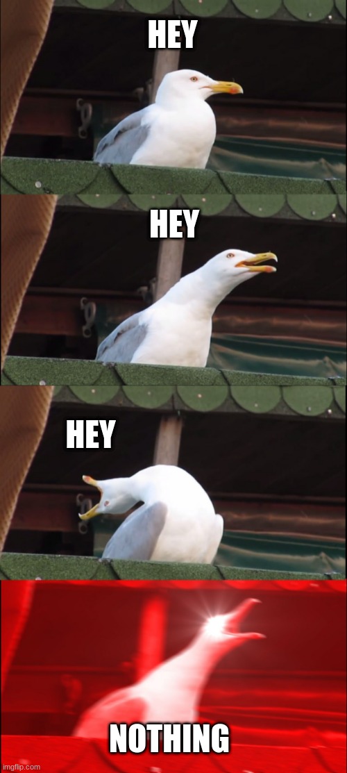 Inhaling Seagull | HEY; HEY; HEY; NOTHING | image tagged in memes,inhaling seagull | made w/ Imgflip meme maker