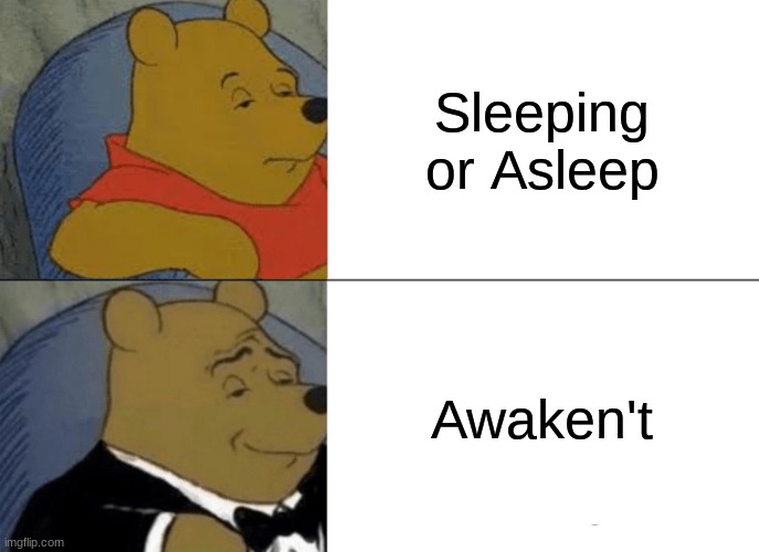 Tuxedo Winnie The Pooh Meme | Sleeping or Asleep; Awaken't | image tagged in memes,tuxedo winnie the pooh | made w/ Imgflip meme maker