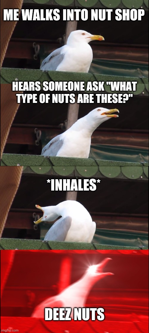 Deez nuts | ME WALKS INTO NUT SHOP; HEARS SOMEONE ASK "WHAT TYPE OF NUTS ARE THESE?"; *INHALES*; DEEZ NUTS | image tagged in memes,inhaling seagull | made w/ Imgflip meme maker