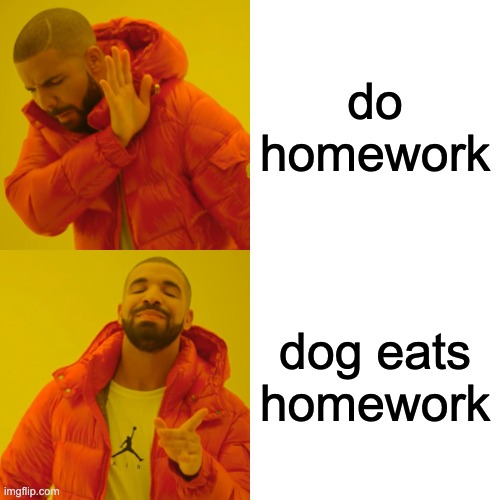 Homework | do homework; dog eats homework | image tagged in memes,drake hotline bling | made w/ Imgflip meme maker