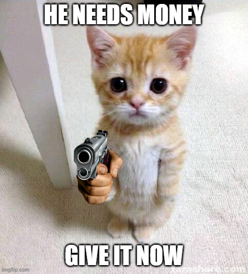 Cute Cat | HE NEEDS MONEY; GIVE IT NOW | image tagged in memes,cute cat | made w/ Imgflip meme maker