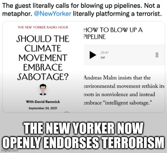 Conservatives are called "terrorists" for owning guns - while the left openly endorses blowing up pipelines. | THE NEW YORKER NOW OPENLY ENDORSES TERRORISM | image tagged in terrorism | made w/ Imgflip meme maker