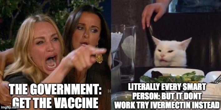Woman Screaming at Cat | LITERALLY EVERY SMART PERSON: BUT IT DONT WORK TRY IVERMECTIN INSTEAD; THE GOVERNMENT: GET THE VACCINE | image tagged in woman screaming at cat | made w/ Imgflip meme maker