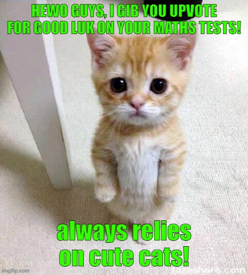 Always ask for an upvote from this cute cat to get luck on your math test! | HEWO GUYS, I GIB YOU UPVOTE FOR GOOD LUK ON YOUR MATHS TESTS! always relies on cute cats! | image tagged in memes,cute cat | made w/ Imgflip meme maker