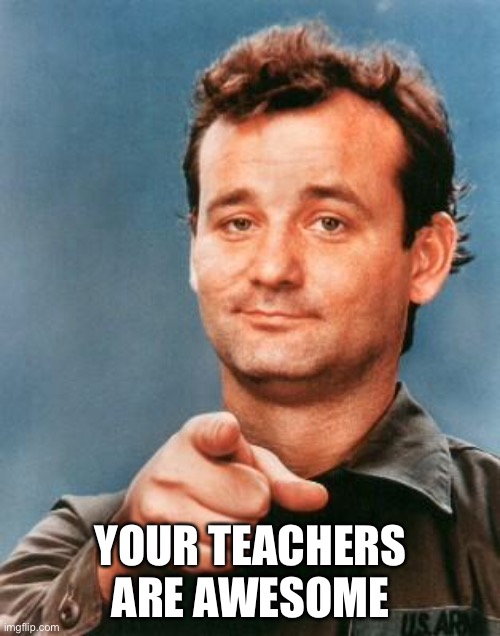 Bill Murray You're Awesome | YOUR TEACHERS ARE AWESOME | image tagged in bill murray you're awesome | made w/ Imgflip meme maker