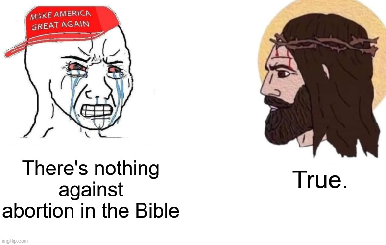 Republican and Jesus | True. There's nothing against abortion in the Bible | image tagged in republican and jesus,republicans,jesus christ,jesus,abortion | made w/ Imgflip meme maker