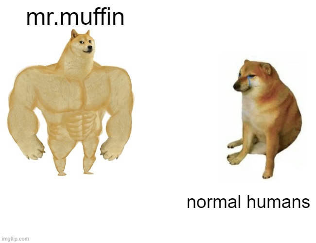 MR.MUFFIN | mr.muffin; normal humans | image tagged in memes,buff doge vs cheems | made w/ Imgflip meme maker