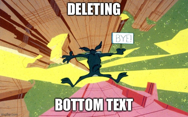 Wile E Coyote falling off of cliff | DELETING; BOTTOM TEXT | image tagged in wile e coyote falling off of cliff | made w/ Imgflip meme maker