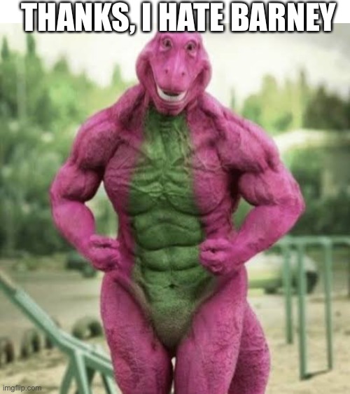 why does this exist | THANKS, I HATE BARNEY | image tagged in blank white template,cursed image,why is the fbi here | made w/ Imgflip meme maker