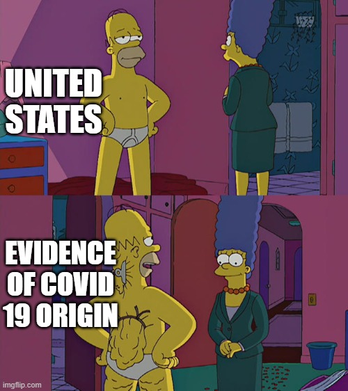 We will investigate the origins of covid... | UNITED STATES; EVIDENCE OF COVID 19 ORIGIN | image tagged in homer simpson's back fat,covid-19,covid,china virus,coronavirus | made w/ Imgflip meme maker