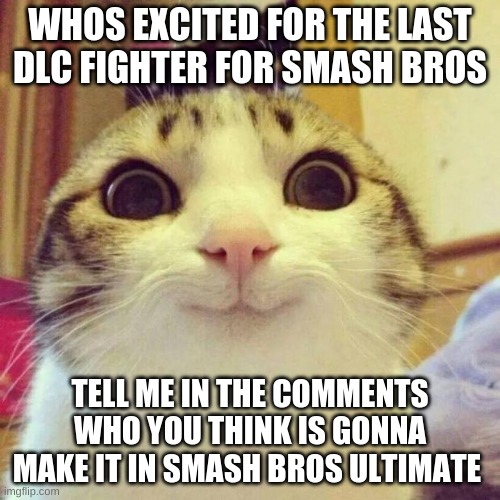 your opinion | WHOS EXCITED FOR THE LAST DLC FIGHTER FOR SMASH BROS; TELL ME IN THE COMMENTS WHO YOU THINK IS GONNA MAKE IT IN SMASH BROS ULTIMATE | image tagged in memes,smiling cat | made w/ Imgflip meme maker