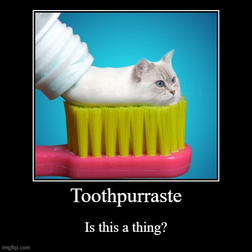 hmmm? | image tagged in funny,demotivationals,cats,toothpaste,weird | made w/ Imgflip demotivational maker