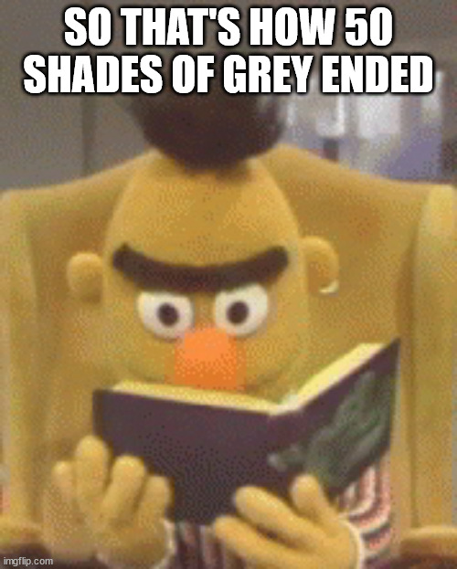  SO THAT'S HOW 50 SHADES OF GREY ENDED | image tagged in sesame street bert book | made w/ Imgflip meme maker