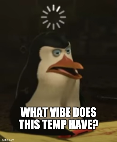 Derp | WHAT VIBE DOES THIS TEMP HAVE? | image tagged in derp | made w/ Imgflip meme maker