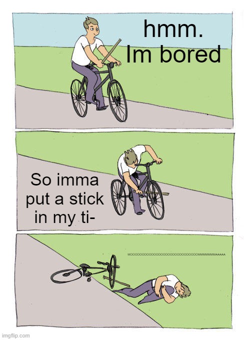 IDIOT | hmm. Im bored; So imma put a stick in my ti-; MOOOOOOOOOOOOOOOOOOOOOOOOOOOOOMMMMMMMAAAAA | image tagged in memes,bike fall | made w/ Imgflip meme maker