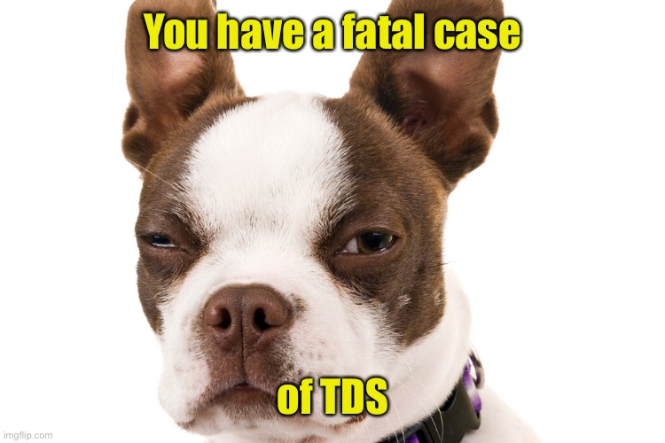 You have a fatal case of TDS | made w/ Imgflip meme maker