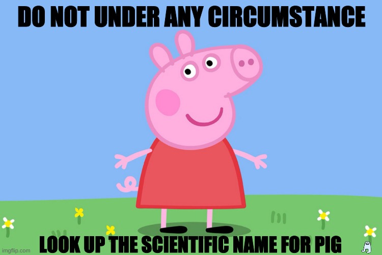 Peppa Pig Providing Pears Potentially Protecting Prolonged Prophecies | DO NOT UNDER ANY CIRCUMSTANCE; LOOK UP THE SCIENTIFIC NAME FOR PIG | image tagged in peppa pig | made w/ Imgflip meme maker
