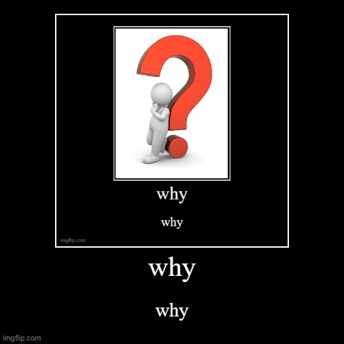 why why | image tagged in funny,demotivationals | made w/ Imgflip demotivational maker