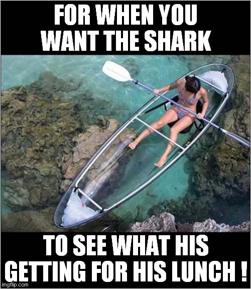 See Through Lunch Pack ! | FOR WHEN YOU WANT THE SHARK; TO SEE WHAT HIS GETTING FOR HIS LUNCH ! | image tagged in shark,canoe,lunch,dark humour | made w/ Imgflip meme maker