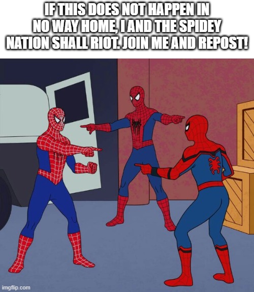 CMON, HOLLANDERS!! | IF THIS DOES NOT HAPPEN IN NO WAY HOME, I AND THE SPIDEY NATION SHALL RIOT. JOIN ME AND REPOST! | image tagged in spider man triple | made w/ Imgflip meme maker