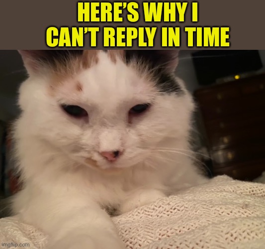 HERE’S WHY I CAN’T REPLY IN TIME | made w/ Imgflip meme maker